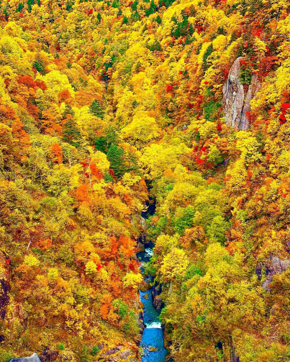 日本 北海道 札幌 定山渓 紅葉の豊平峡ダム