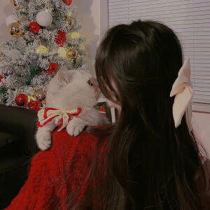 新年女像
喜欢点赞关注收藏