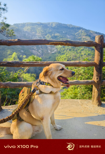 带狗子爬山