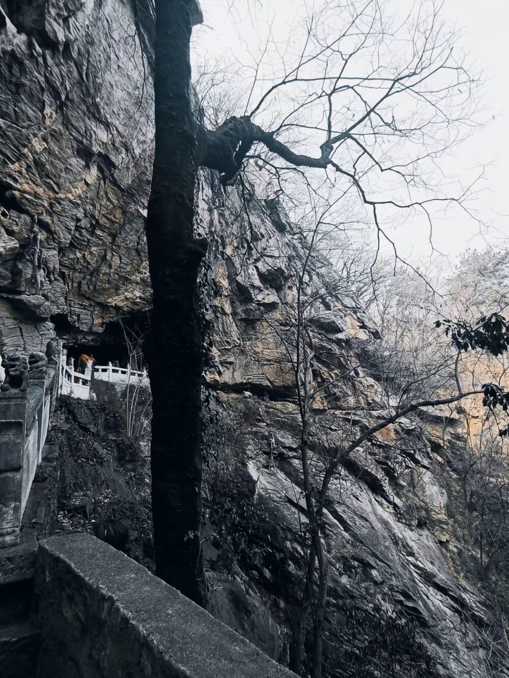 底素
背景
源温言/阿祀
