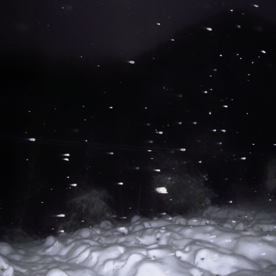 
满天的风雪 我不想再写 随手撕下这一页