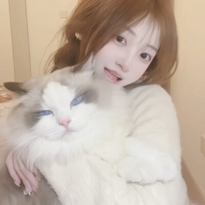 小猫拯救世界