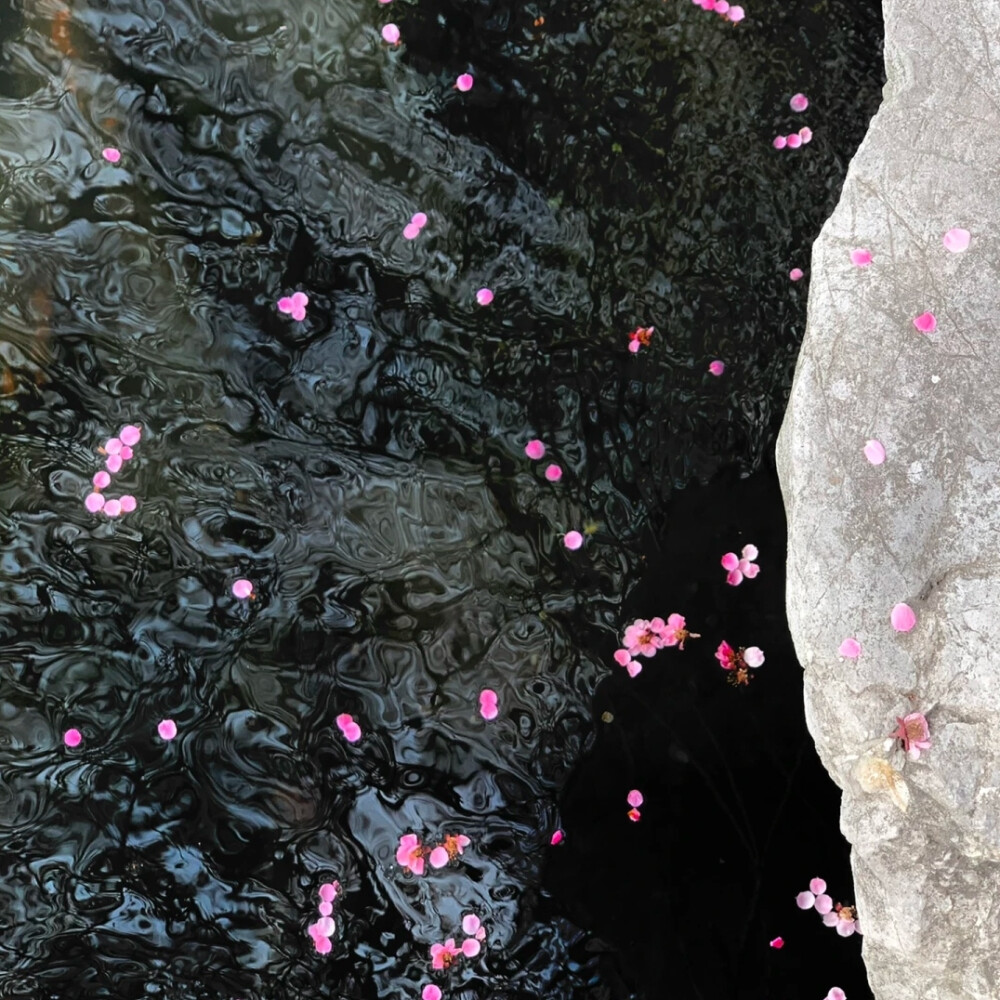 落花背景图