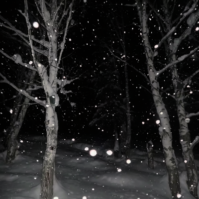 
满天的风雪 我不想再写 随手撕下这一页