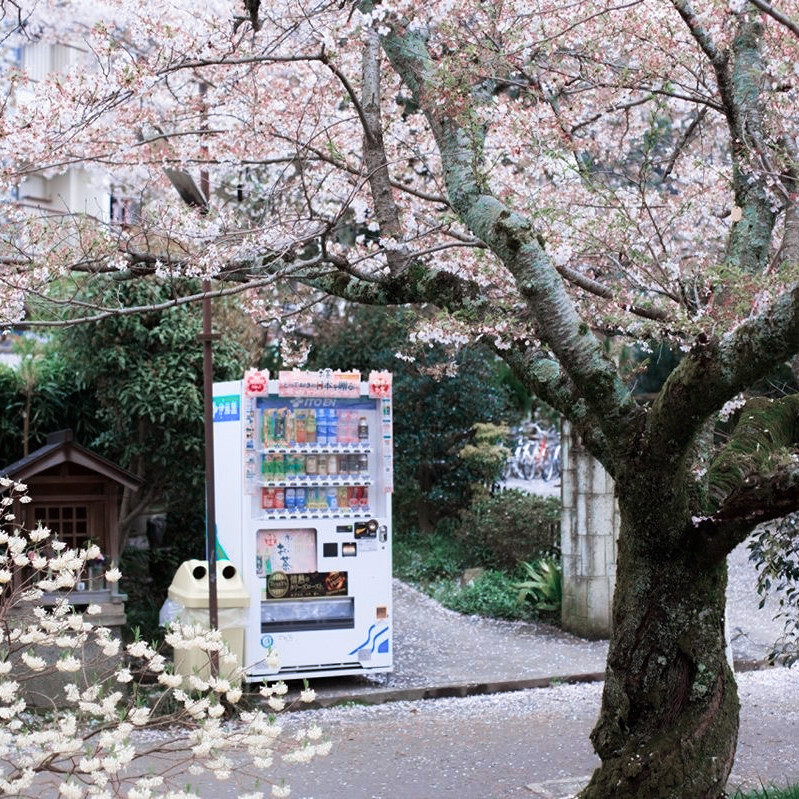 Sablier de plage＂圣蒂斯海岸◇Wandering Bottle