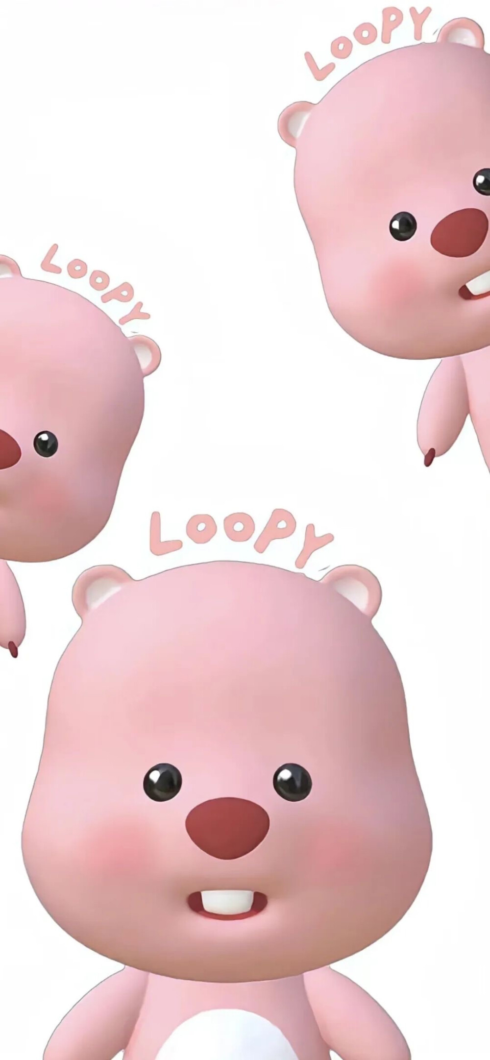 loopy壁纸