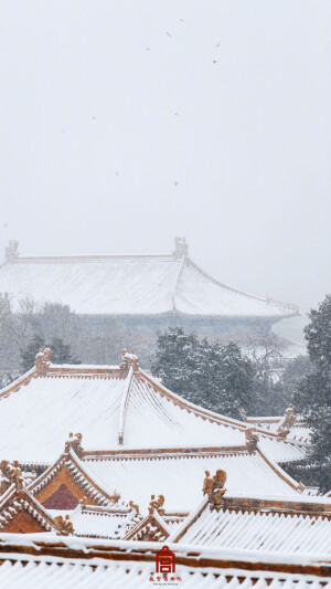 故宫雪景