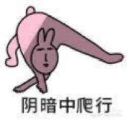 哈哈哈哈