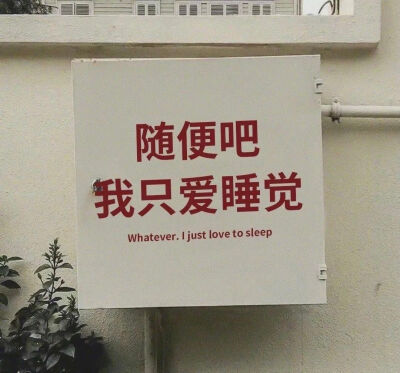 文字背景图