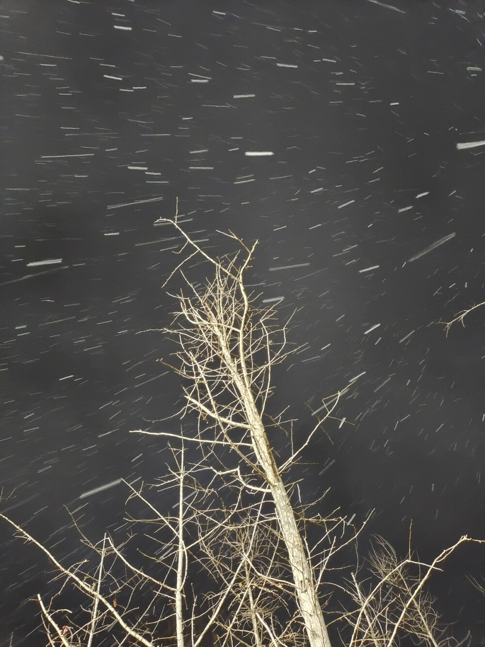 下雪啦