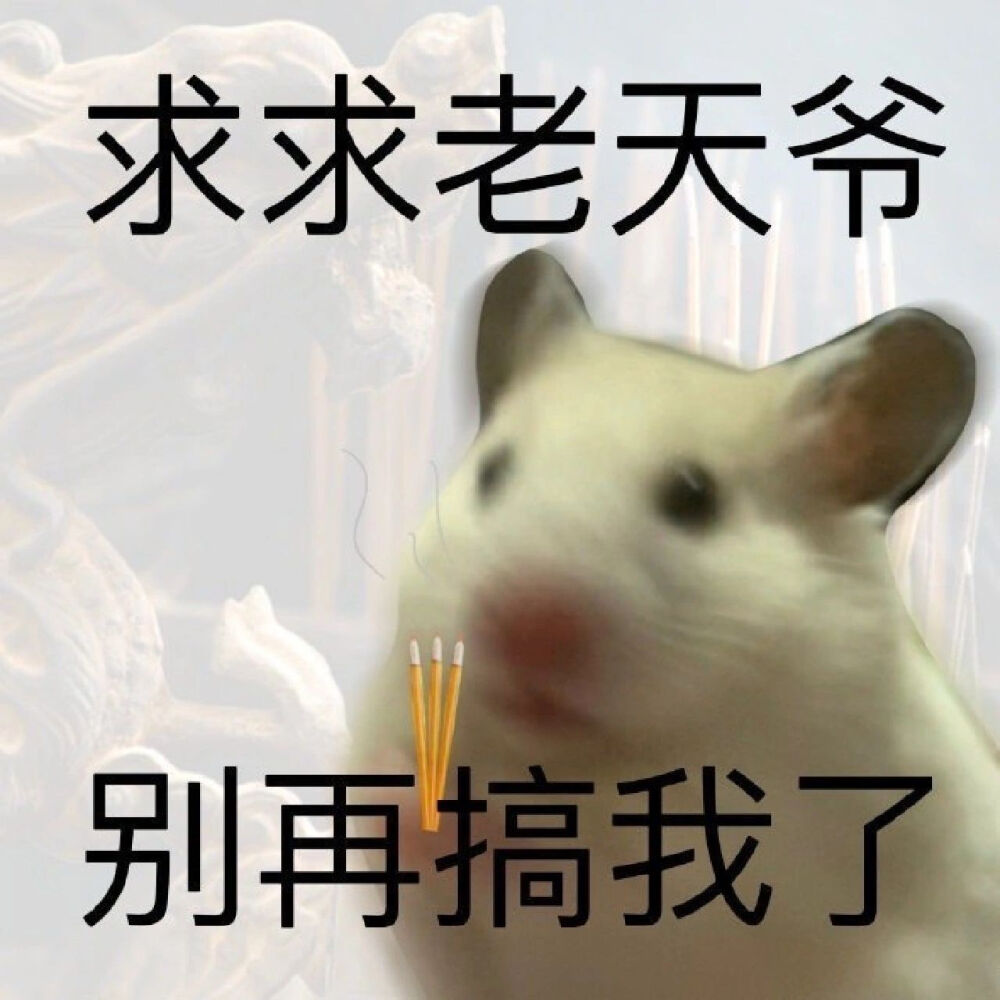 鼠鼠表情包