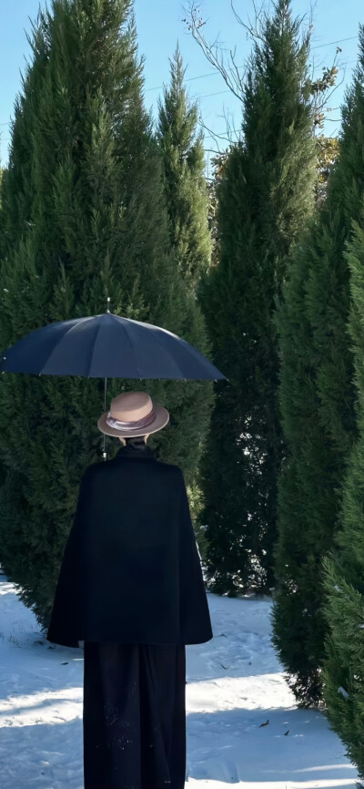 梧桐诗没有结尾