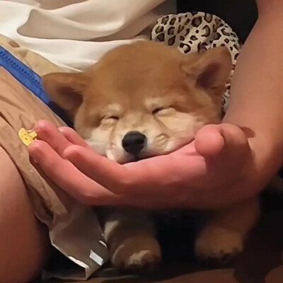 奇奇怪怪可可爱爱得头像