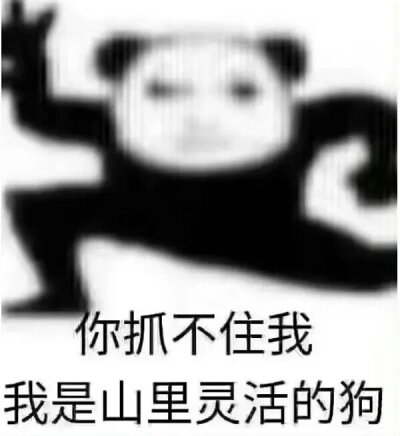 发疯表情包