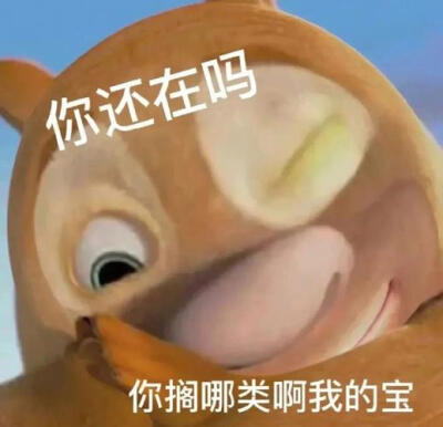 今日份快乐