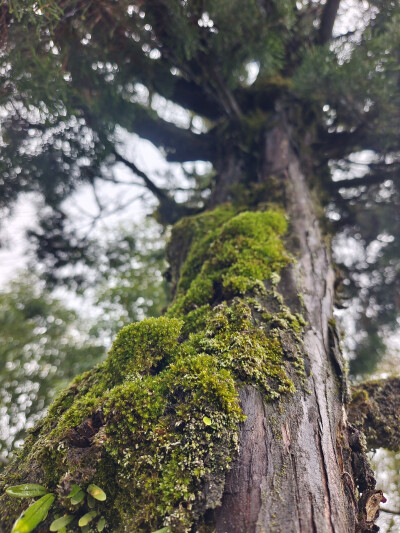 地球表层的一小小撮～