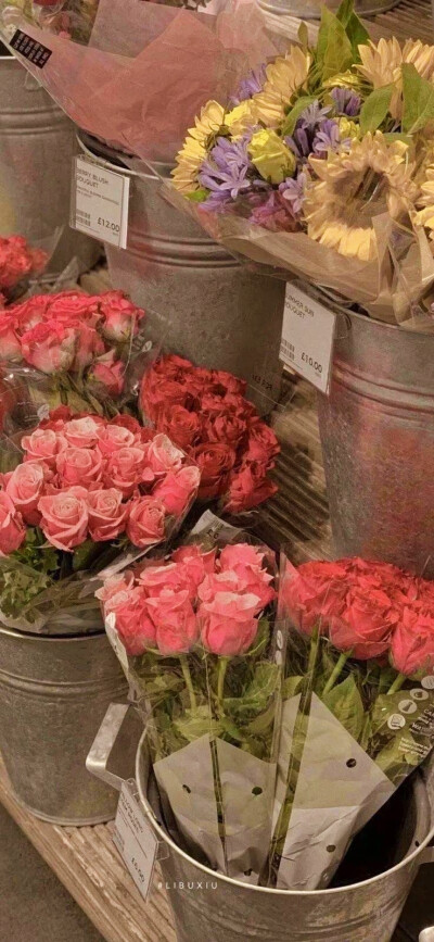 是好看的壁纸呀~