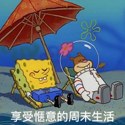 可爱的海绵宝宝的表情包····`~~~~