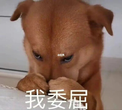 今日份快乐