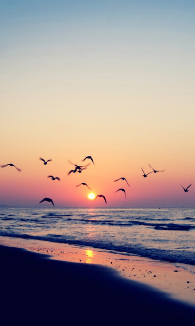 云彩离别和重逢的经历，有眼泪和微笑的哲理。