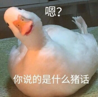 今日份快乐