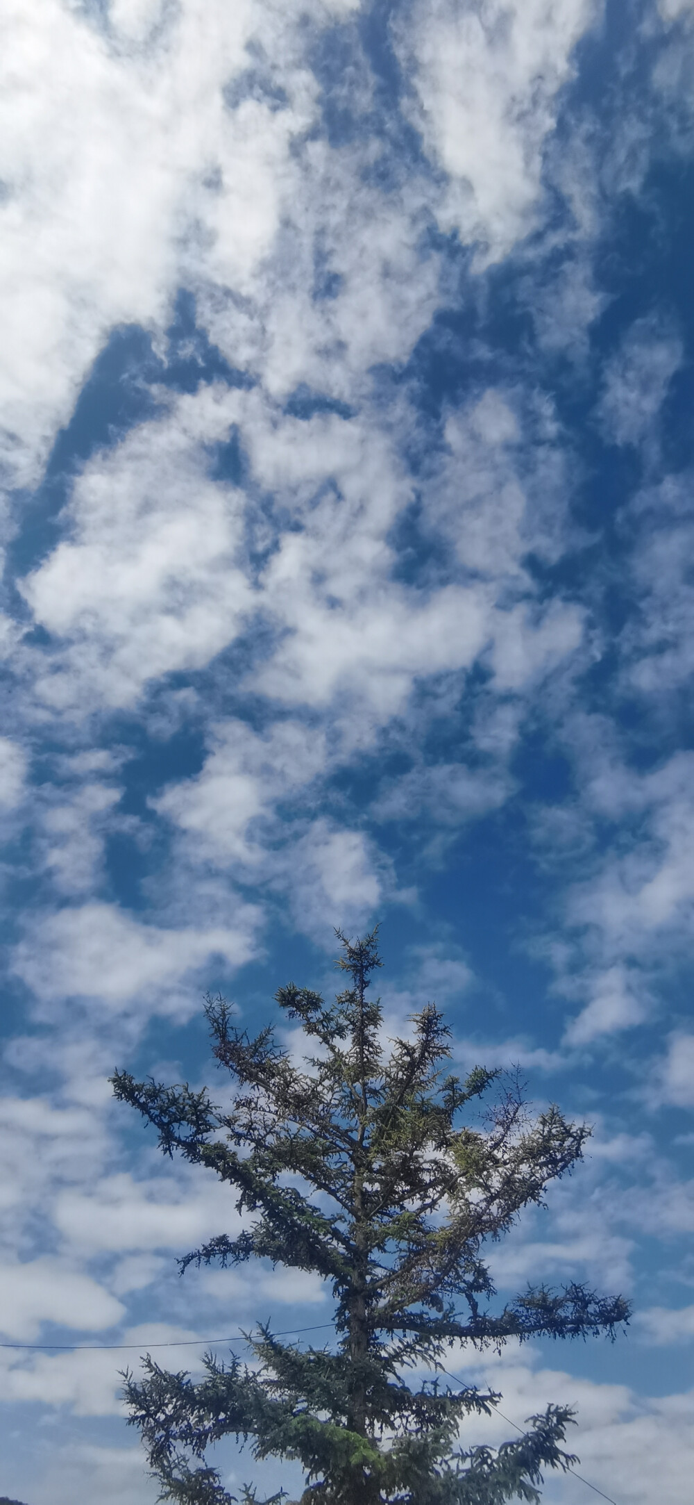 不谈人类繁衍的意义，光说人类情感价值的话，人类的繁衍就是恶性循环