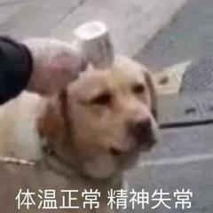 表情包