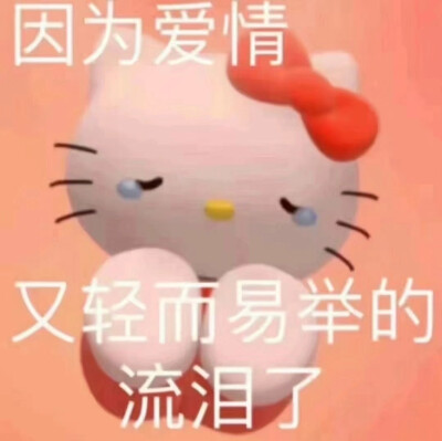 三丽鸥表情包.
凯特猫.
@安.