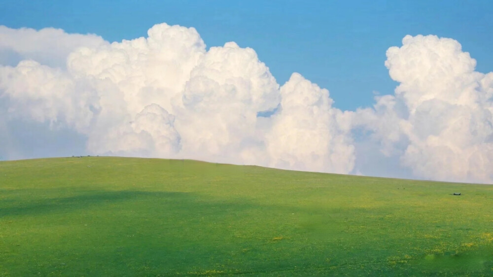 蓝天白云绿草地,电脑平板横屏壁纸