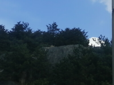 风景图
天空，山，树木