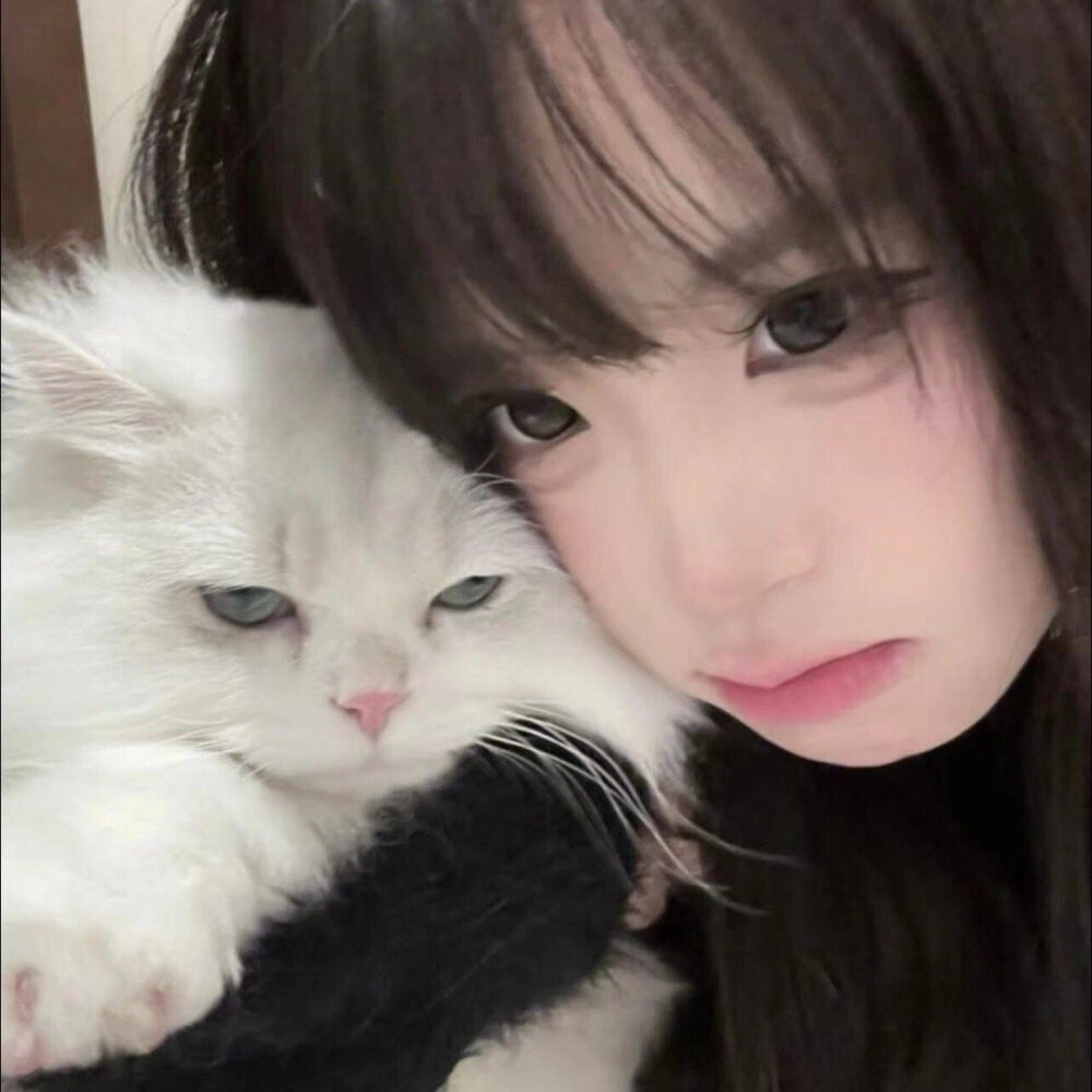 电子日记│˶˙ᵕ˙˶)꜆