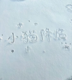 冬季恋歌/雪地背景图