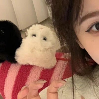 电子日记│˶˙ᵕ˙˶)꜆