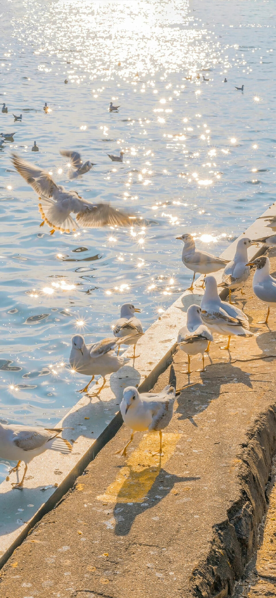 少与人纠缠多看大自然
风景#壁纸#​​​