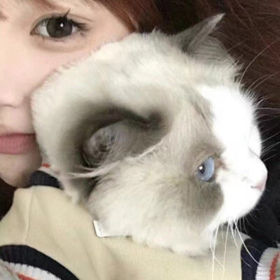 电子日记│˶˙ᵕ˙˶)꜆