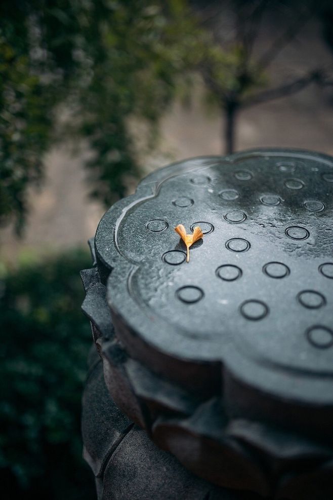 看云独忘归，听泉常永日。
内乐万事休，中虚众妙入。