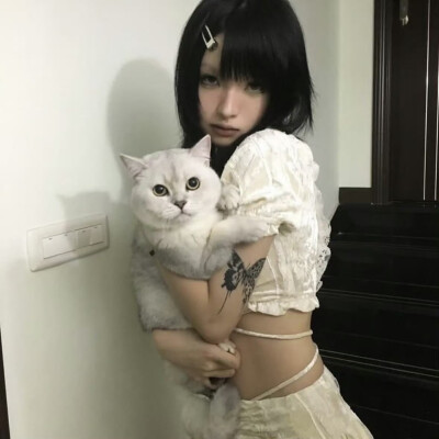 不能把自由的小猫叫做流浪猫