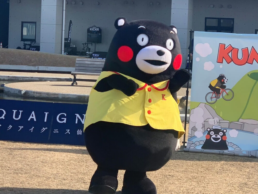 熊本熊