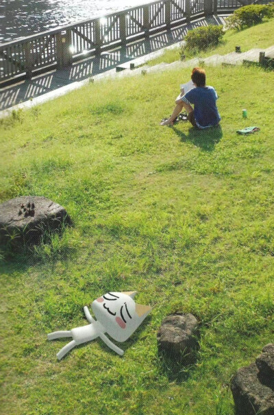 和人类相处太累 越来越爱和小草雨滴说话 睡在水里