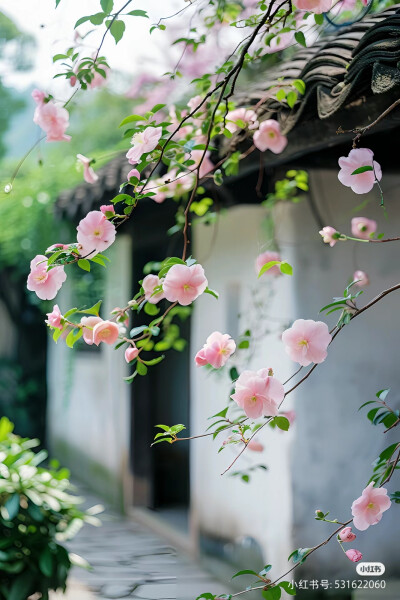 花草