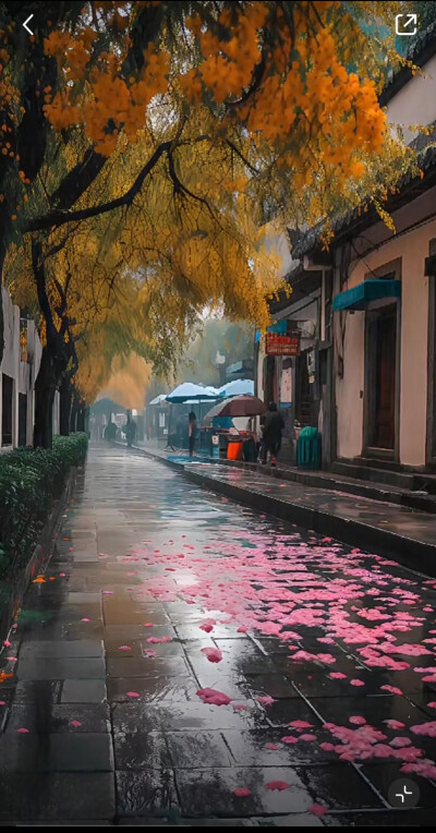 丙烯