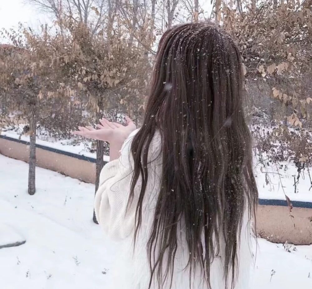 下雪头像图片来了