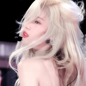 尖锐的玫瑰艳丽盛开 弥新淬火 终落叶归根