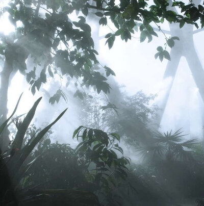 和人类相处太累 越来越爱和小草雨滴说话 睡在水里