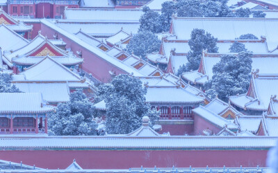 龙年新雪