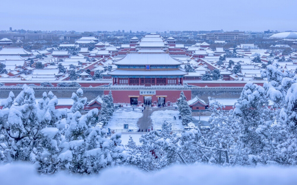 龙年新雪