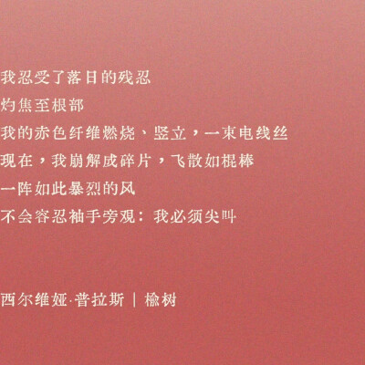 文字/摘抄/诗集/女性/源自：PoemsForYou