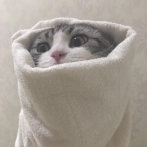 幼儿园等人来接的小朋友