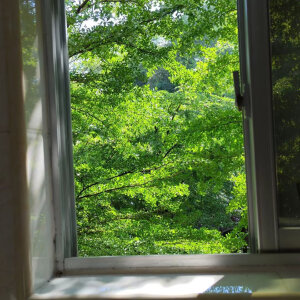 关注 绿色背景图 #绿色背景图 赞 评论 收藏 更多 发布至专辑 ins背景