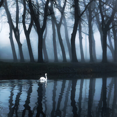 图源weibo侵权删